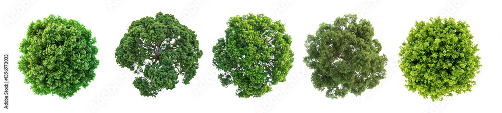 PNG Vibrant spherical green foliage clusters, element set on transparent background