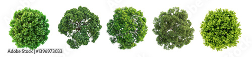 Obraz na płótnie PNG Vibrant spherical green foliage clusters, element set on transparent background w salonie
