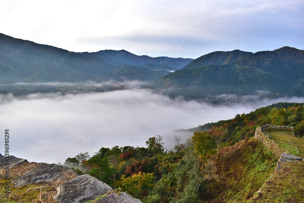Fototapeta premium 島根 津和野 津和野城跡 雲海