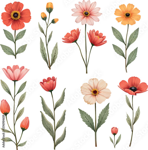 Wallpaper Mural a set bundle of beautiful illustrated flowers Torontodigital.ca