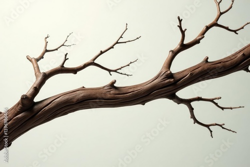 Twisted and tangled branches against a clean background, twisted, woody, brown