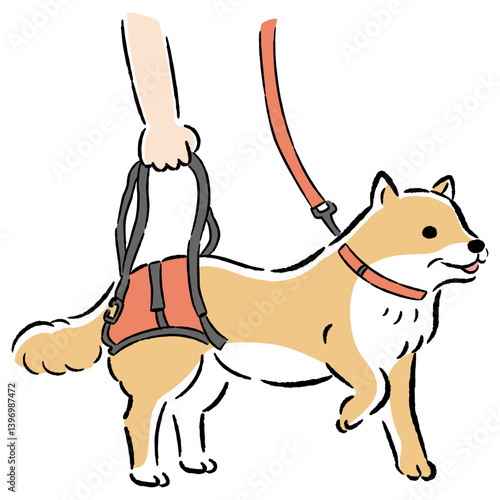 ウォーキングベルトを使うシニア犬の手描きイラスト