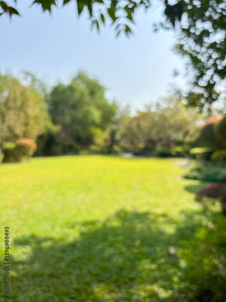 Fototapeta premium Abstract blur park garden for background