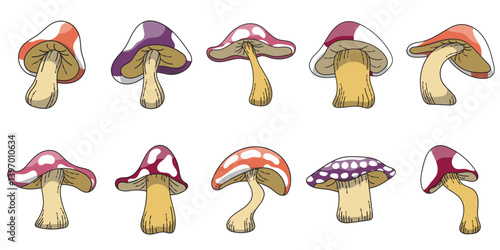 Mushroom Illustration