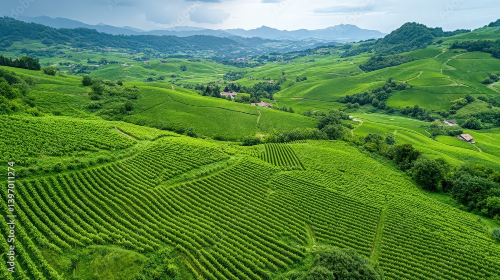 Overhead View of Bright Green Terraced Farmlands Adorn Rolling Hills with Distant Cityscape Background Under Daytime Overcast Lighting Conditions Overhead View of Bright Green Terraced Farmlands Adorn Rolling Hills with Distant Cityscape Background Under Daytime Overcast Lighting Conditions