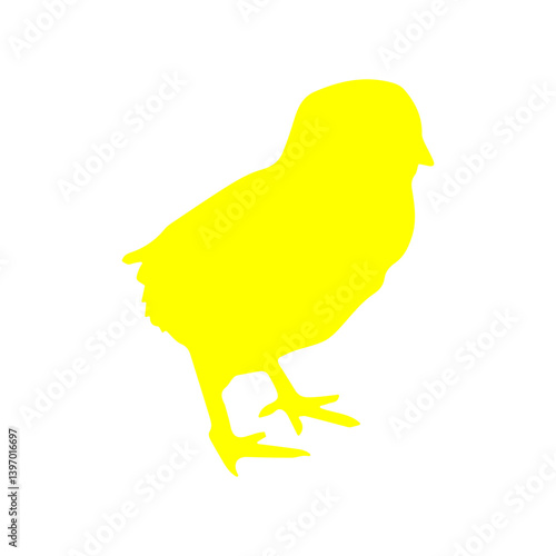 Chick yellow