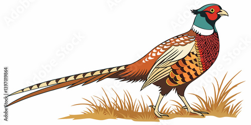 Pheasant Vector Illustration – Colorful Game Bird Clipart, Hunting Logo, Wildlife Art, Rural Countryside Drawing, Ornamental Feathers, Nature Design	