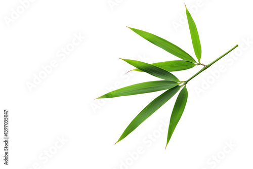 A vibrant bamboo branch with long, slender green leaves, showcasing its natural elegance and texture.