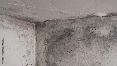 Black toxic mold spreading indoors, unsafe air quality in unused concrete space