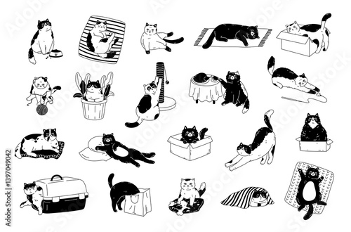 Cute cat activities set. Pet kitten home life: actions, scenes with scratching post, toys, carrier, bed, box, pillow, bag, food, plant. Outline black and white graphic design for print, card, stickers