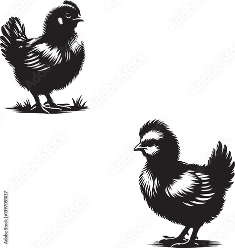 hen and chicks
