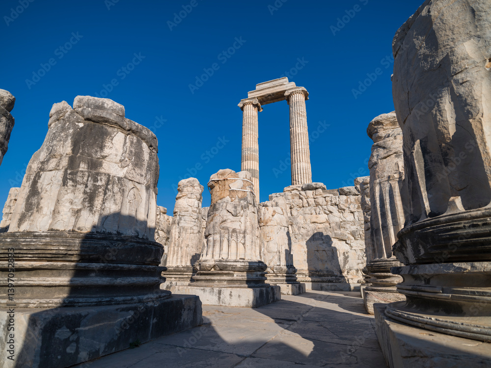 The temple of Apollo in Didim. Important ancient cities of Turkey. Travelling in Turkey. Didim district, Aydin province