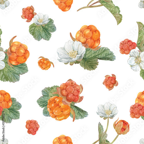 Seamless pattern of cloudberry hand drawn watercolor. Art work for textile, wallpaper, gift paper. Eps file have transparent background.