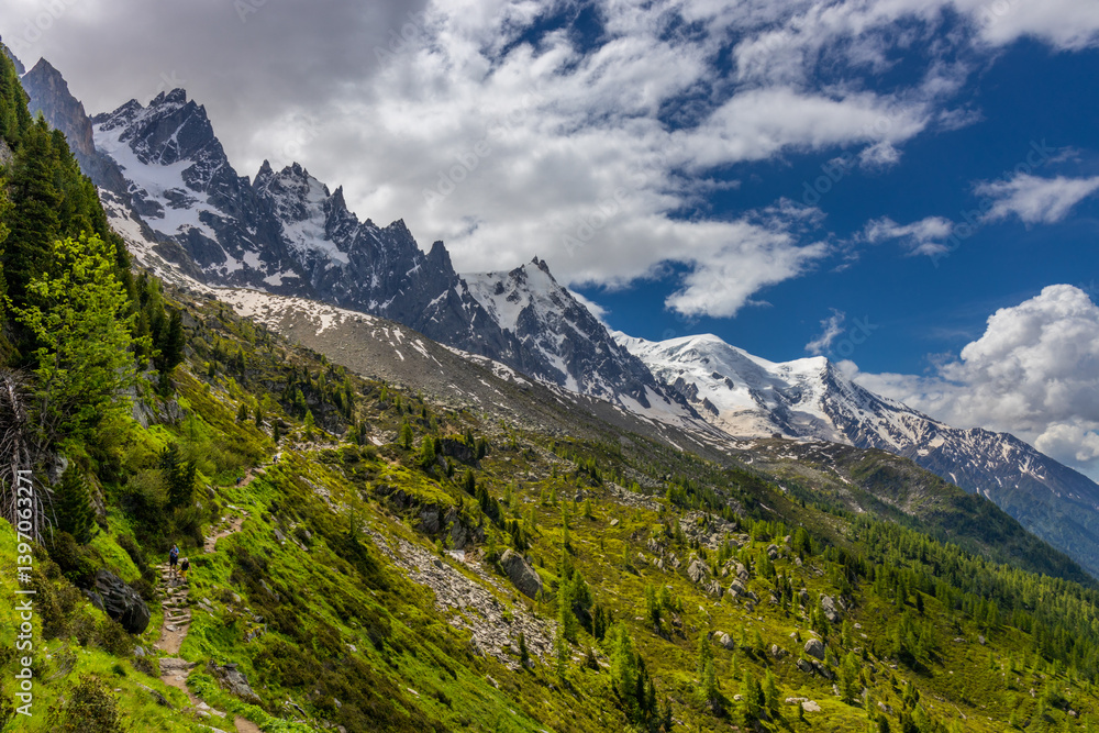Obraz premium Mont Blanc, Monte Bianco mountain summit snow dome above the Chamonix valley in France. Highest peak in Europe in the Alps, alpine scenic view of Montblanc