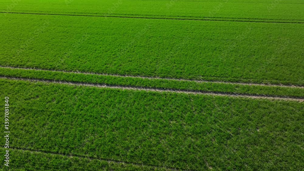 a fresh field from above background 4k 25fps video a fresh field from above background 4k 25fps video