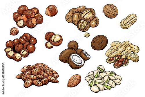 Colorful hand drawn nut collection isolated on white background