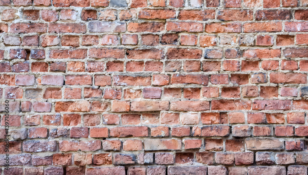 Fototapeta premium 赤レンガの壁