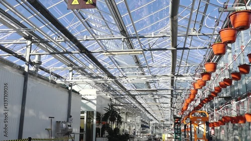 Wallpaper Mural Modern greenhouse interior featuring rows of hanging orange pots connected to an automated irrigation system, under a glass roof with natural sunlight. Torontodigital.ca