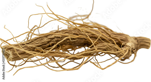 Dried valerian root showing fine root filaments on transparent background