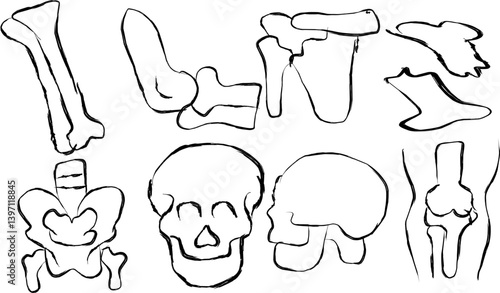 Collection of Human Bone icons in doodle style. Hand drawn skull icons, broken bones, hand bones, spinal cord, elbow and more.