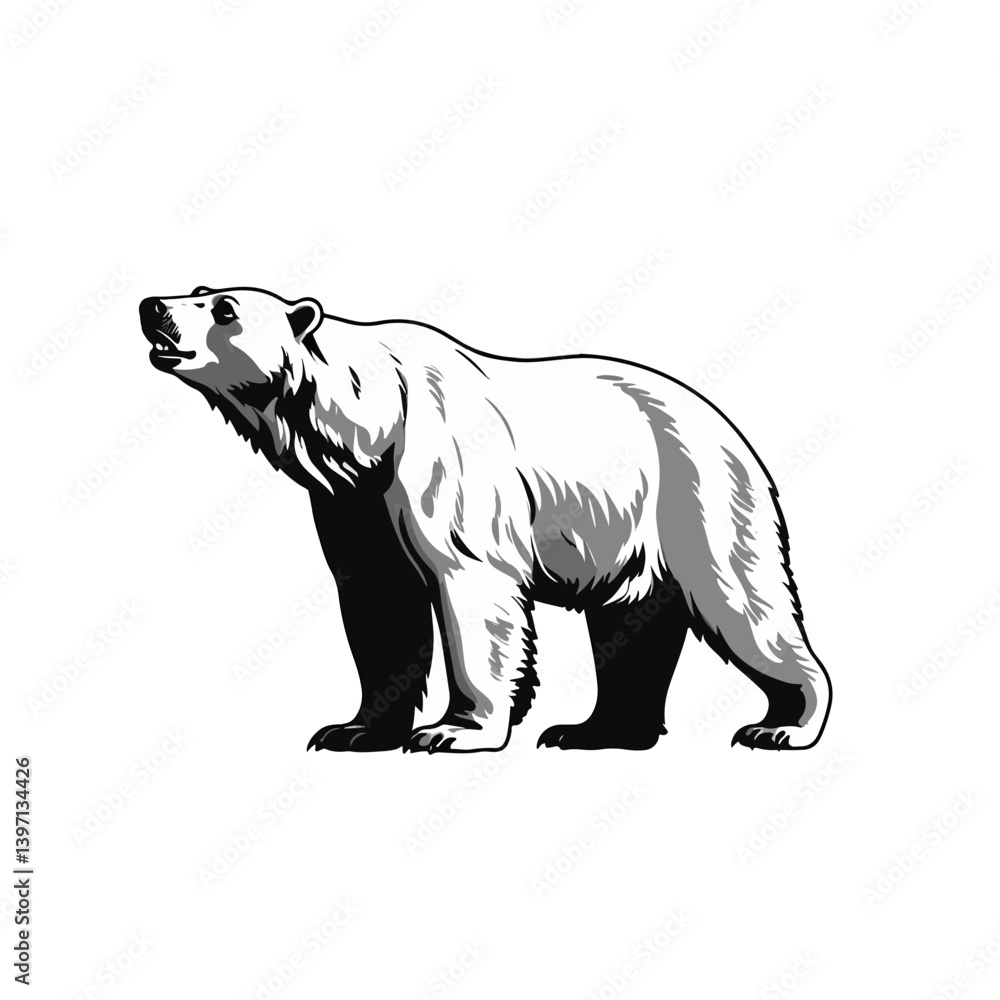 Fototapeta premium Polar bear standing proudly while looking up in an icy environment during winter