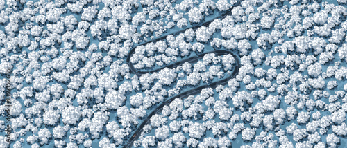 Top view of a forest. View from above. Trees under white snow. Winter. Wild nature landscape. Car on a winding road. Countryside highway. Mountain serpentine. Vector illustration. Adventure banner.