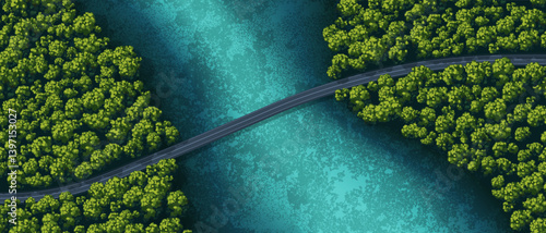 Top view of a forest. View from above. Green trees. Wild nature landscape. Winding road. Bridge over the river. Countryside highway. Vector illustration. Adventure banner.