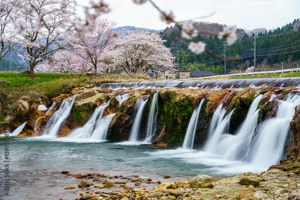 Obraz premium 石川県の穴場桜名所「十二ヶ滝」