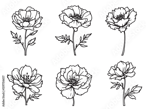 Minimal Blushing Bride Flower Drawings