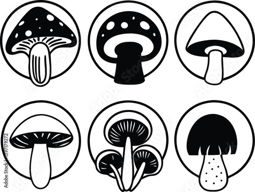 set of mushrooms , amanita, edible, set, boletus, art, leaf