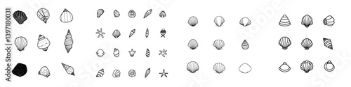 A contemporary collection of hand-drawn sea shells, with each shell sketched and isolated on a white background