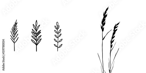 The illustration features a hand drawn set consisting of oats, oatmeal, and oat grain, created in modern eps