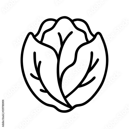 Outline drawing of fresh cabbage vegetable healthy food ingredient vector art