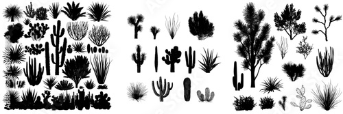 Extensive assortment of dark outlines of cacti, agaves, joshua tree, and prickly pear