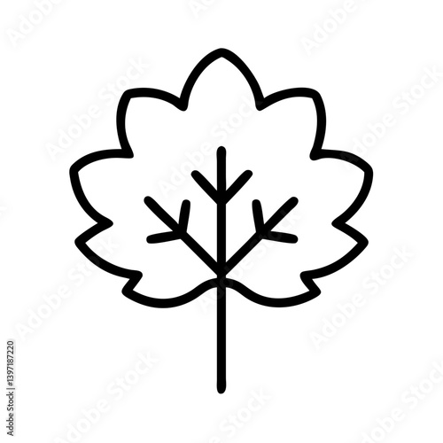 Isolated sycamore leaf vector illustration for nature and botanical designs use