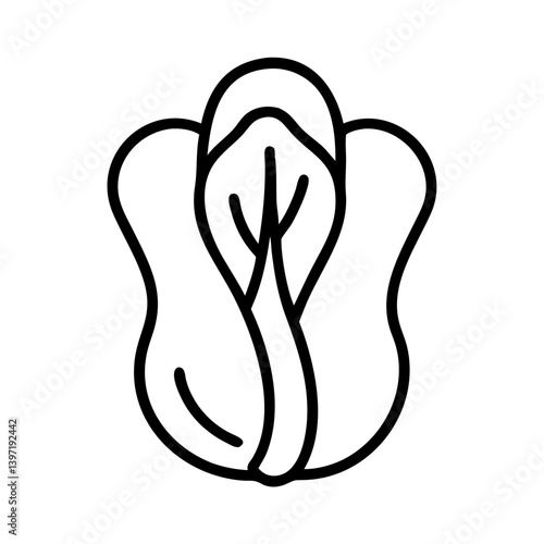 Outline vector drawing of napa cabbage chinese cabbage vegetable healthy food icon