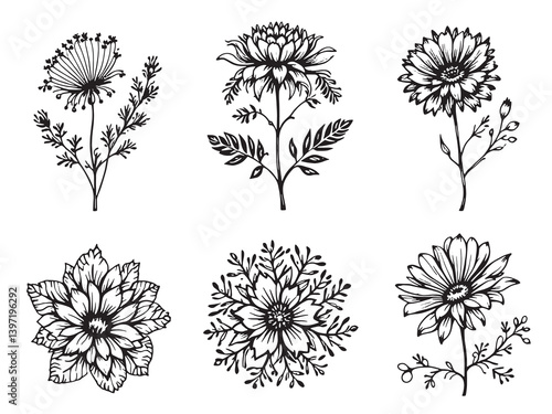 fairy duster clear vision black line art on white background