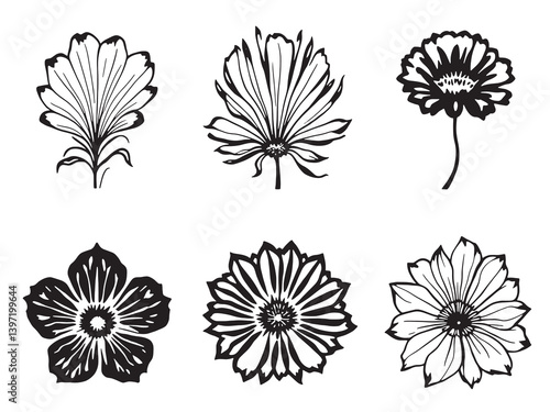 Fairy Fan Flower Black Line Art Single Clear Vision on White Background