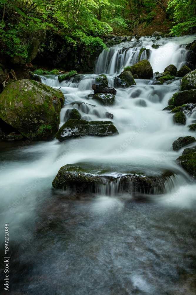 Fototapeta premium 新緑の中を流れる滝と清流1