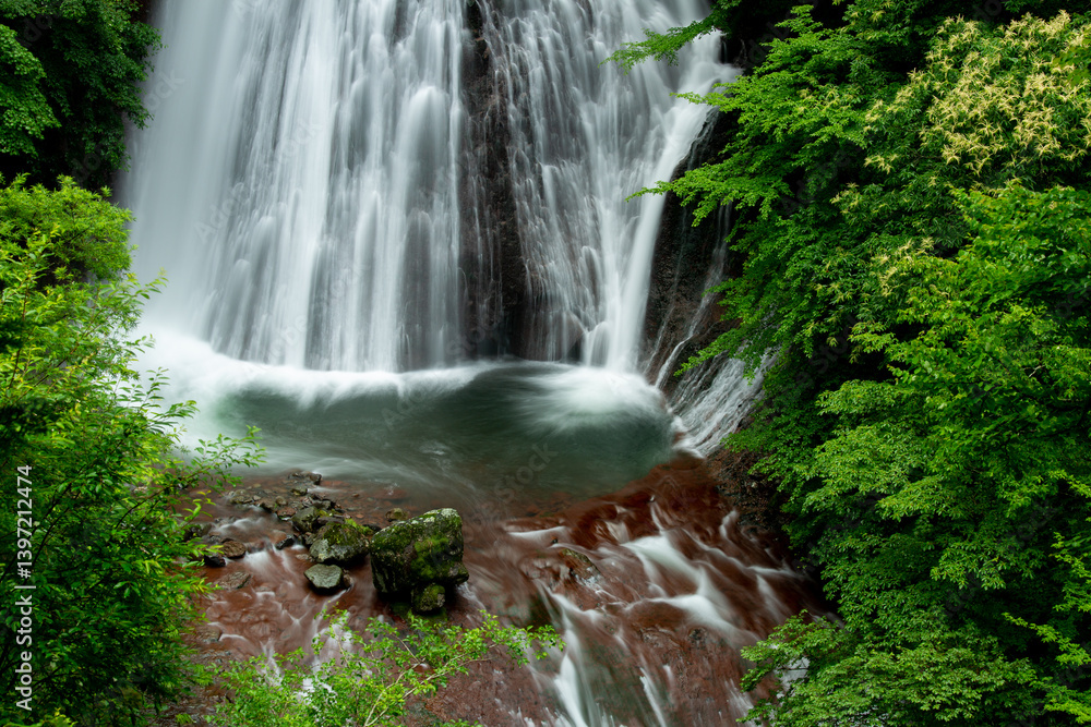 Obraz premium 初夏の滝の清らかな流れ6