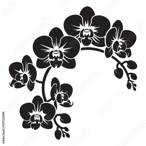 Vector Black silhouettes of orchid flowers. illustration. with white background