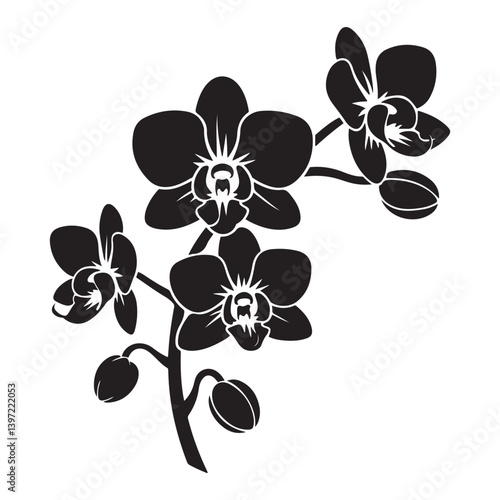 Vector Black silhouettes of orchid flowers. illustration. with white background