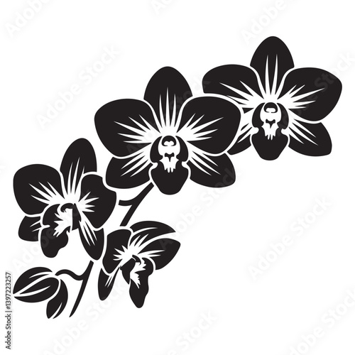Vector Black silhouettes of orchid flowers. illustration. with white background