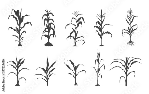 Corn stalk svg, Corn stalk silhouette, Corn tree svg, Corn tree silhouette, Corn svg, Corn silhouette, Corn stalk vector.