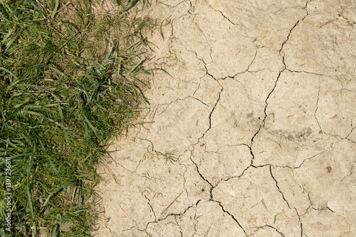 Photography Cracked dry soil contrasts with lush green grass, illustrating the effects of drought in an agricultural field during the summer months