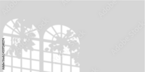 Atmospheric Transparent Shadow Overlay � Sunlight Filtering Through Arched Window with Subtle Tree Silhouettes