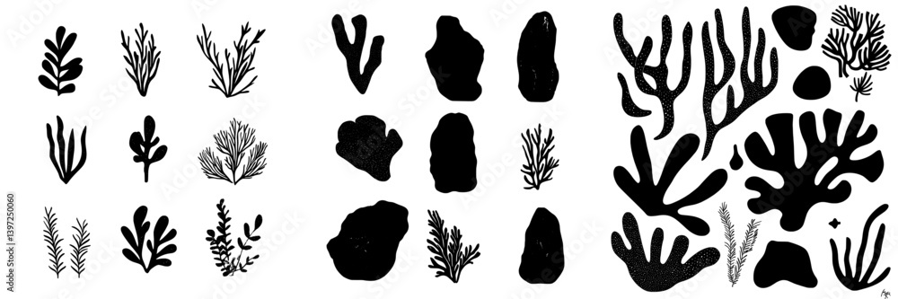 Underwater hand-drawn illustrations of seaweeds, ocean plants, coral elements, and algae are depicted as black silhouettes in a modern style