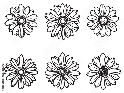 Painted Daisy Clear Vision Black Line Art White Background