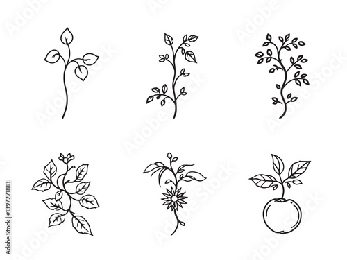 Passionvine Black Line Art on White Background