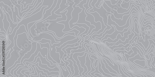 Topographic Map Background with Detailed Contour Lines and Geometric Circles: An Abstract Representation of Geographic Features, Elevation Changes, and Natural Terrain in a Clean, Modern Design"